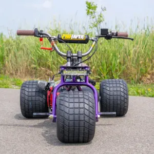 Alternative view of 2024 Purple Haze Special Edition TGV Mini Trike