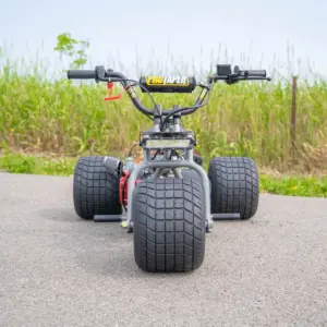 Alternative view of 2024 “YZ” Special Edition TGV Mini Trike