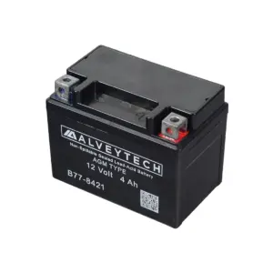 Alternative view of TaoTao E1-350 Electric ATV Battery Replacement
